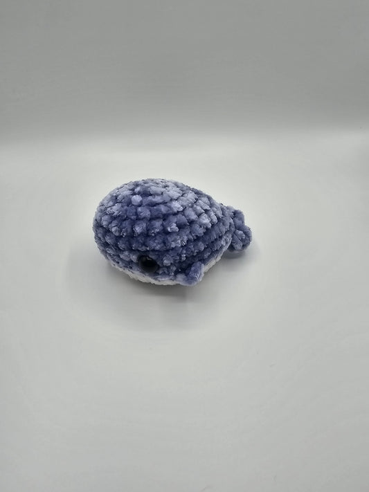 mini whale