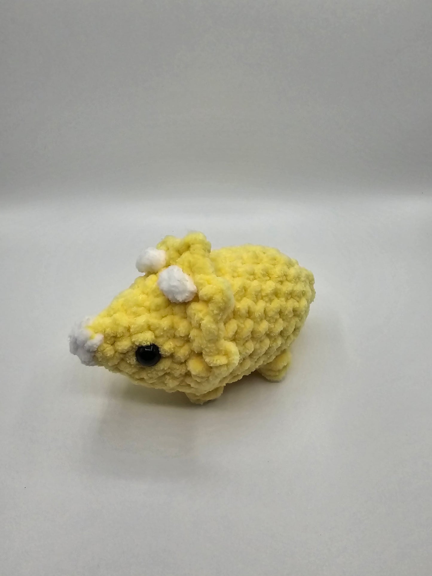 small triceratops