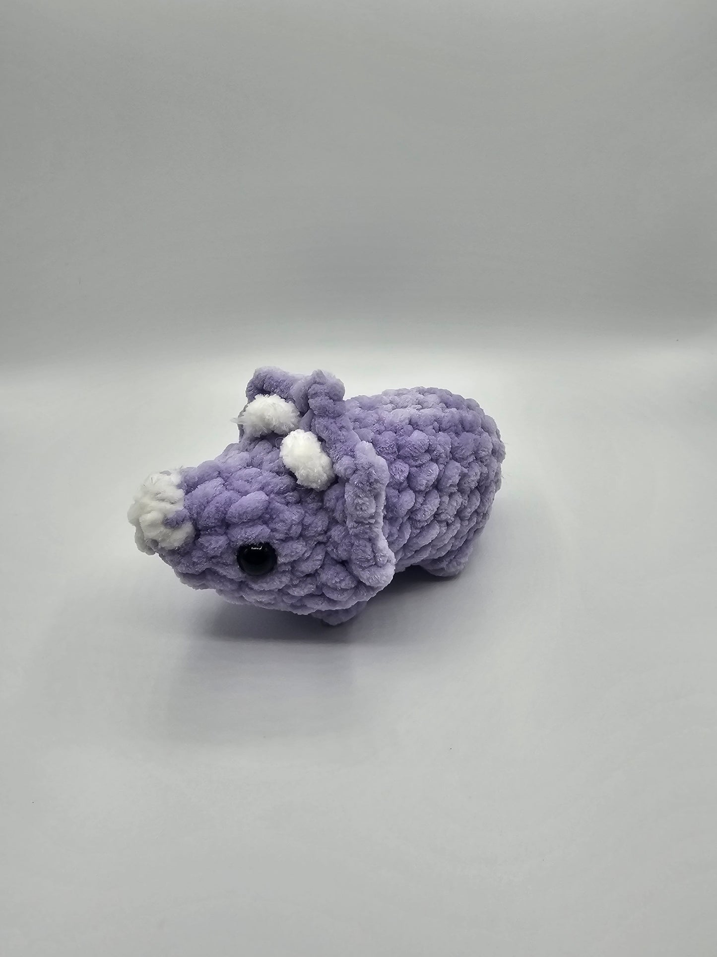 small triceratops