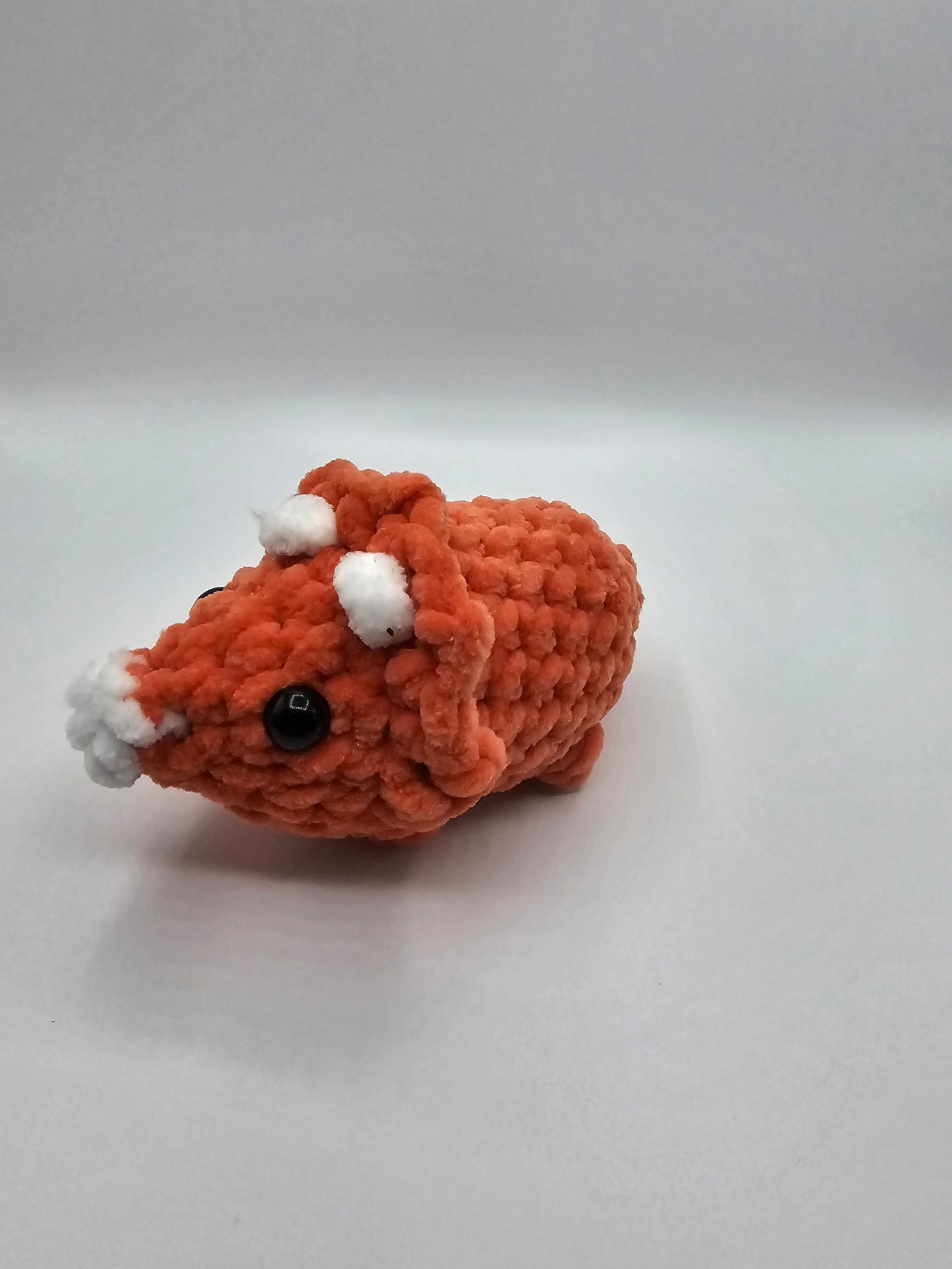 small triceratops