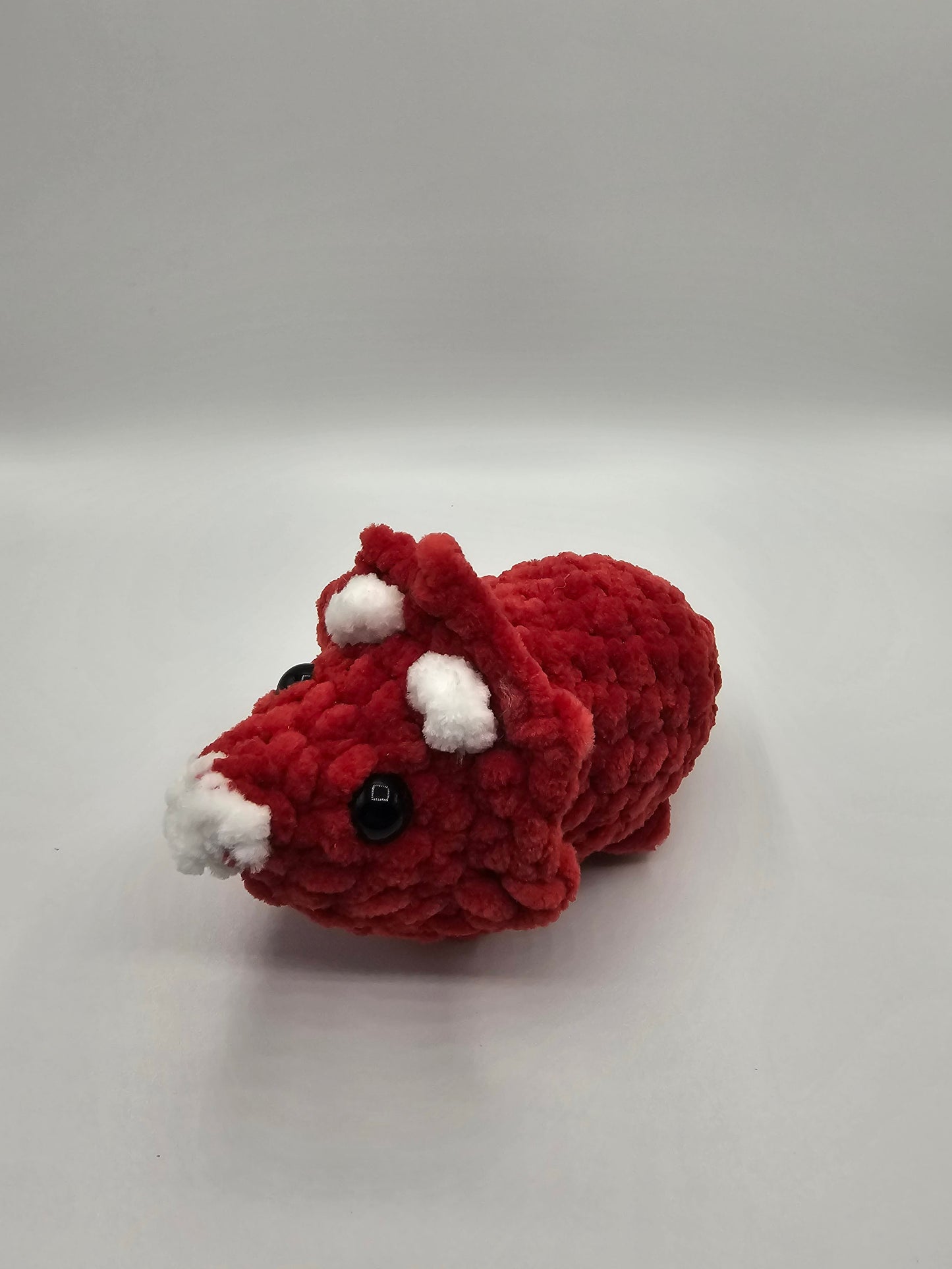 small triceratops