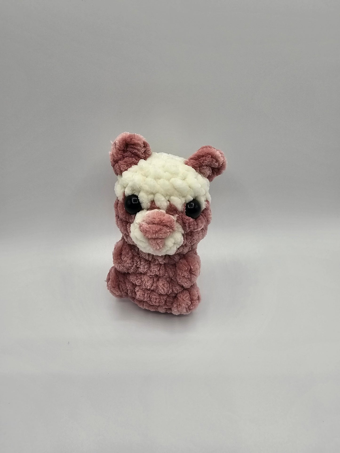mini teddy bear