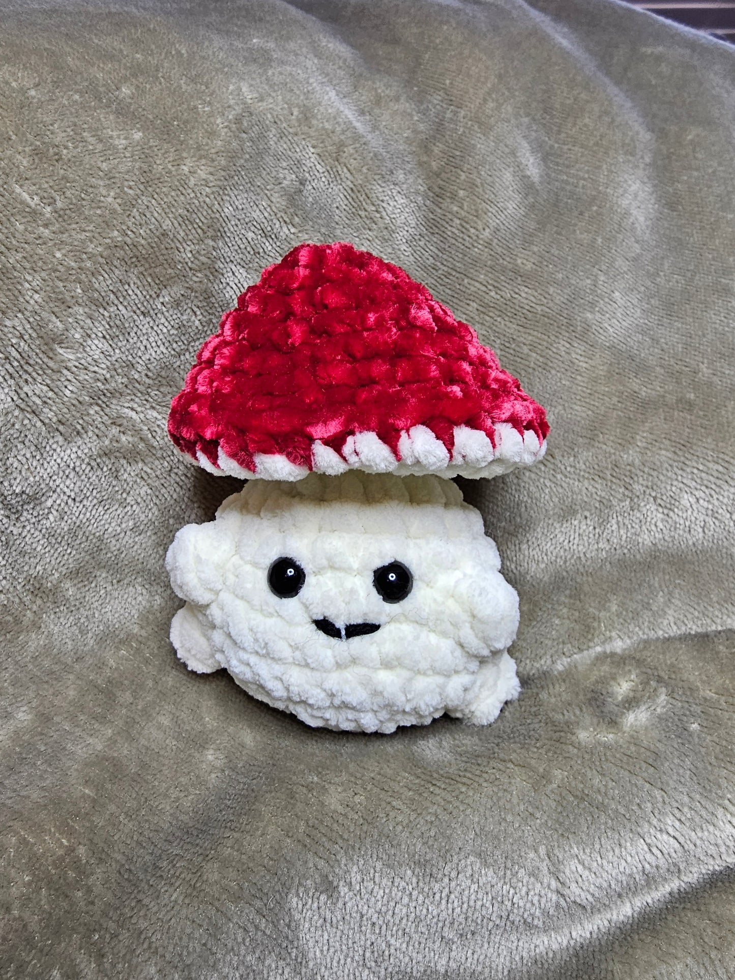 Mushie boy pops