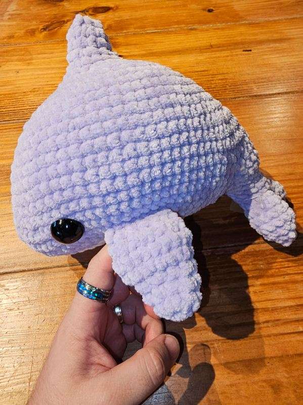 jumbo dolphin