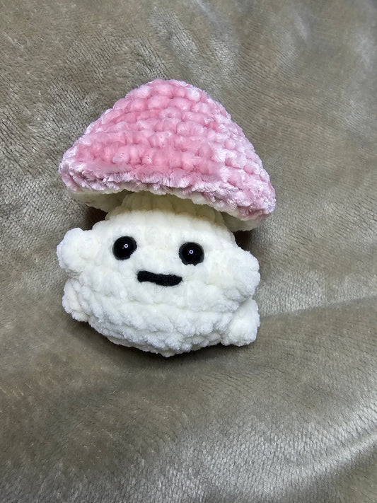 Mushie boy pops